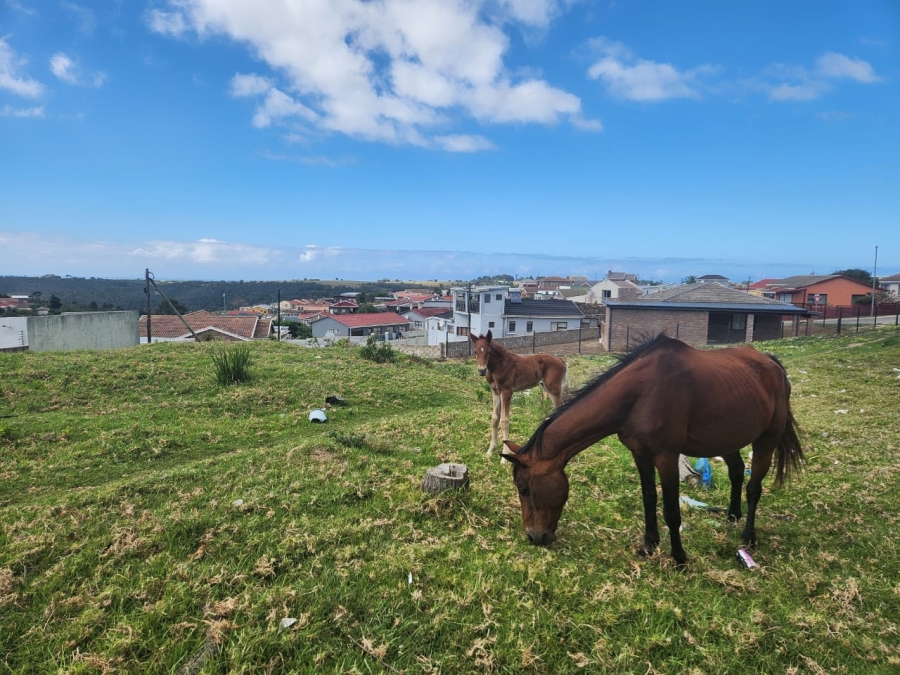 Commercial Property for Sale in Pacaltsdorp Western Cape